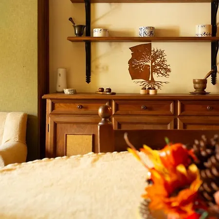 Relax In - 3 Min Centro - *