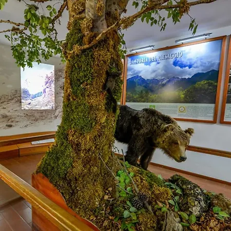 Apartment Relax In Con Parcheggio -3min Centro- Pescasseroli