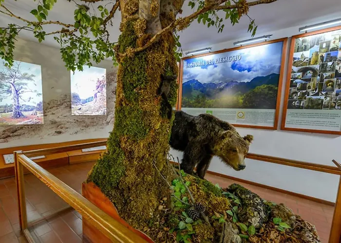 Апартаменты Relax In Con Parcheggio -3min Centro- Пескассероли